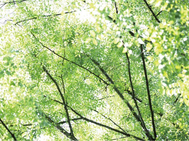 軽井沢のフレンチ・フランス料理